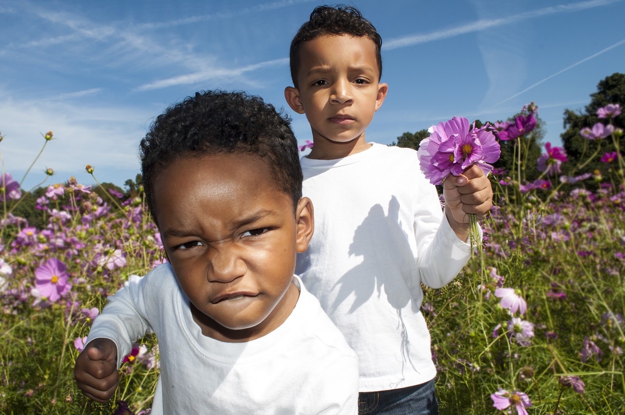 flower patch kids flower free photo