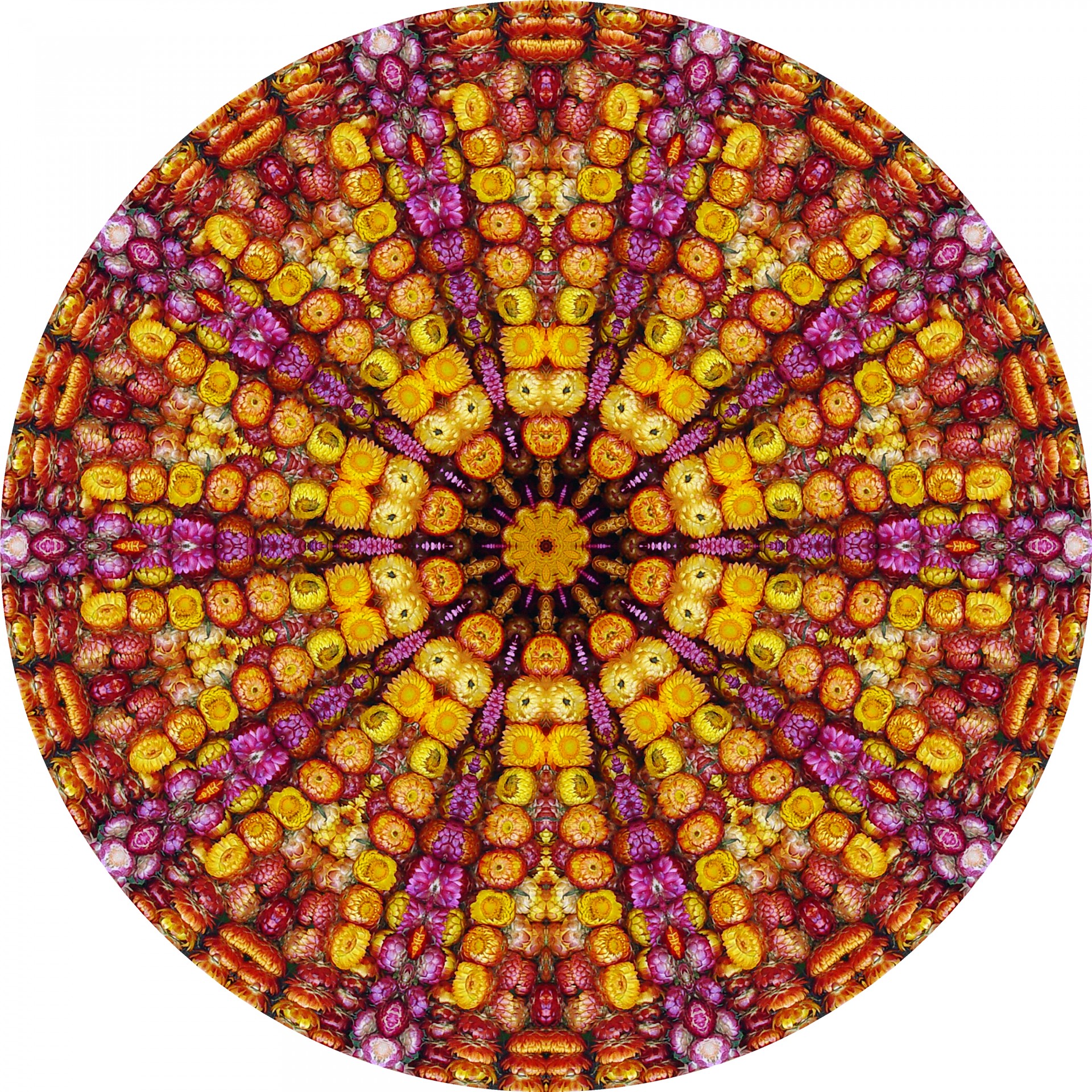 flowers circle kaleidoscope free photo