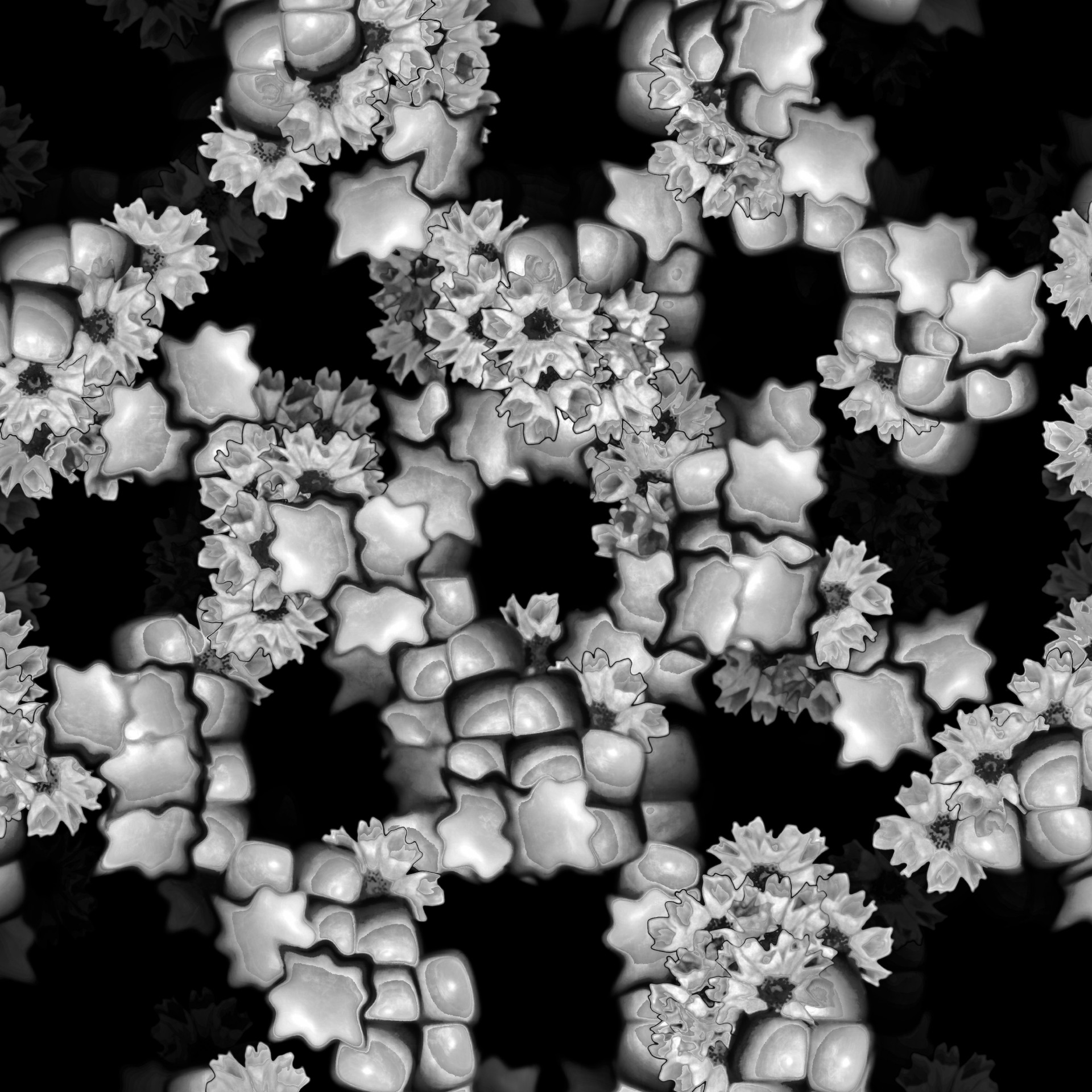 black white flowers free photo