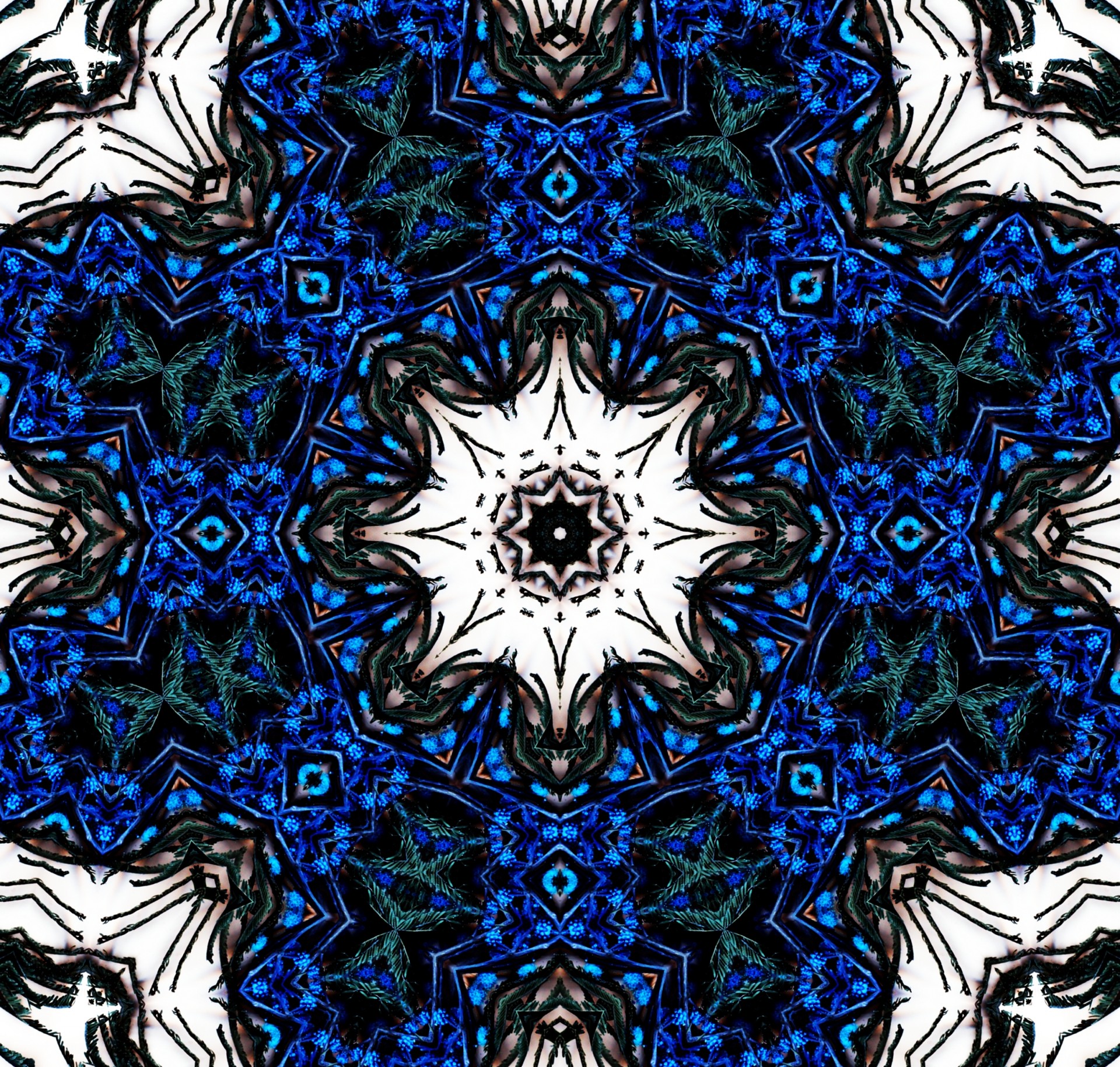 astronira mandala symmetry free photo