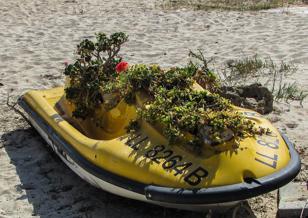 flower pot improvised jet ski free photo