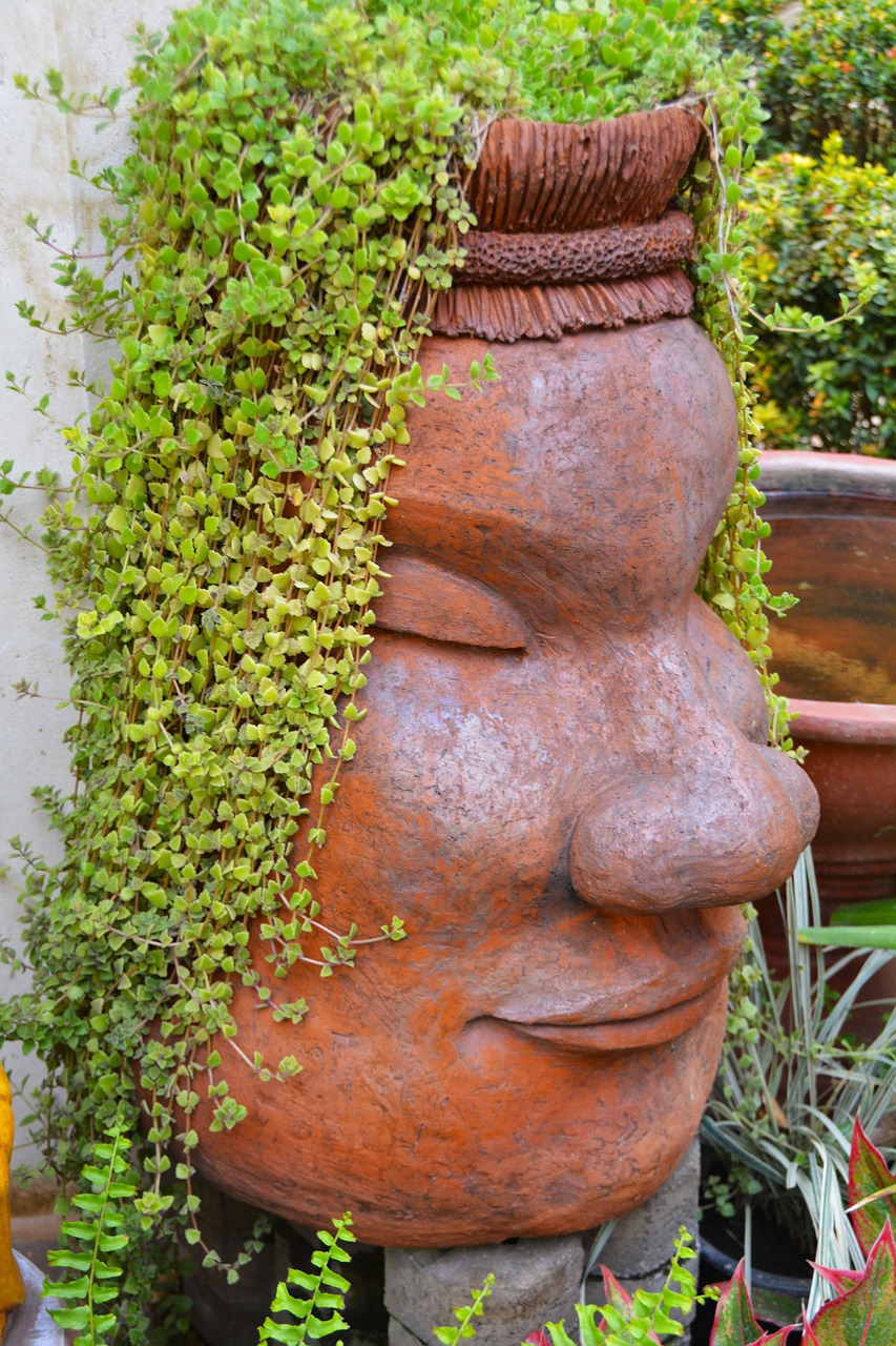 flower pot face ceramic free photo