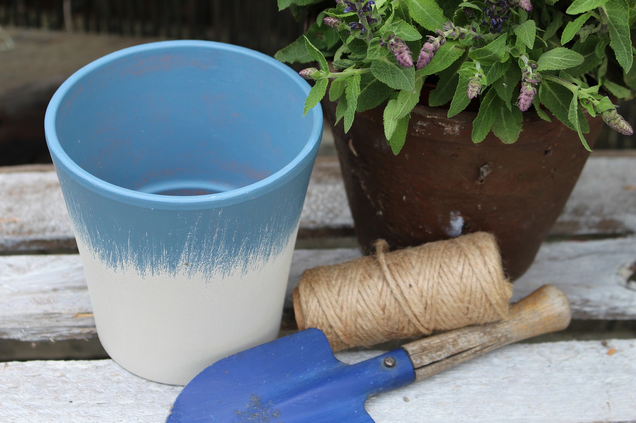 flower pot garden flowers free photo