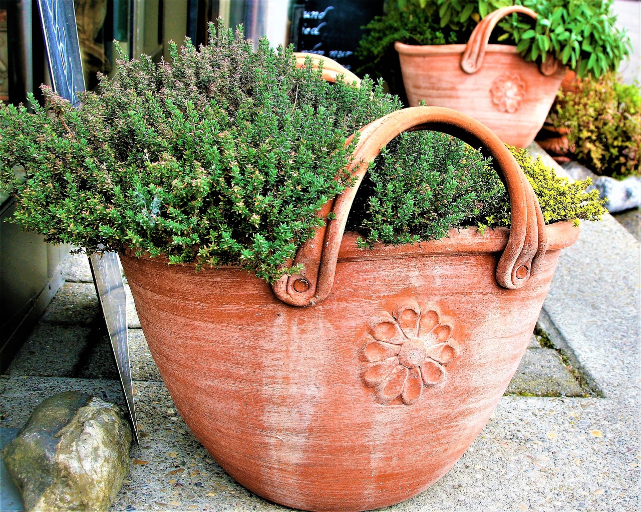 flower pot clay basket free photo