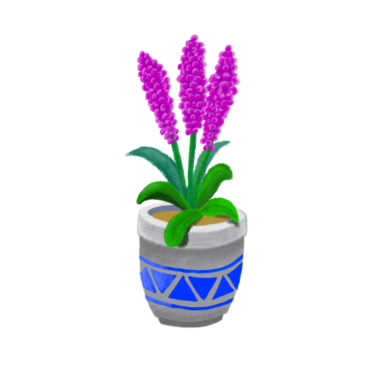 flower pot  ceramic bucket  houseplant free photo