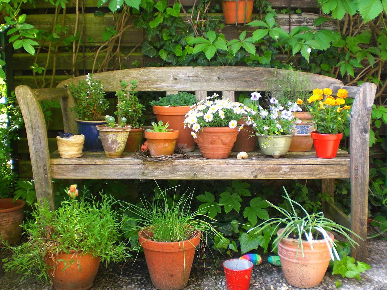 flower pots flowers bank free photo