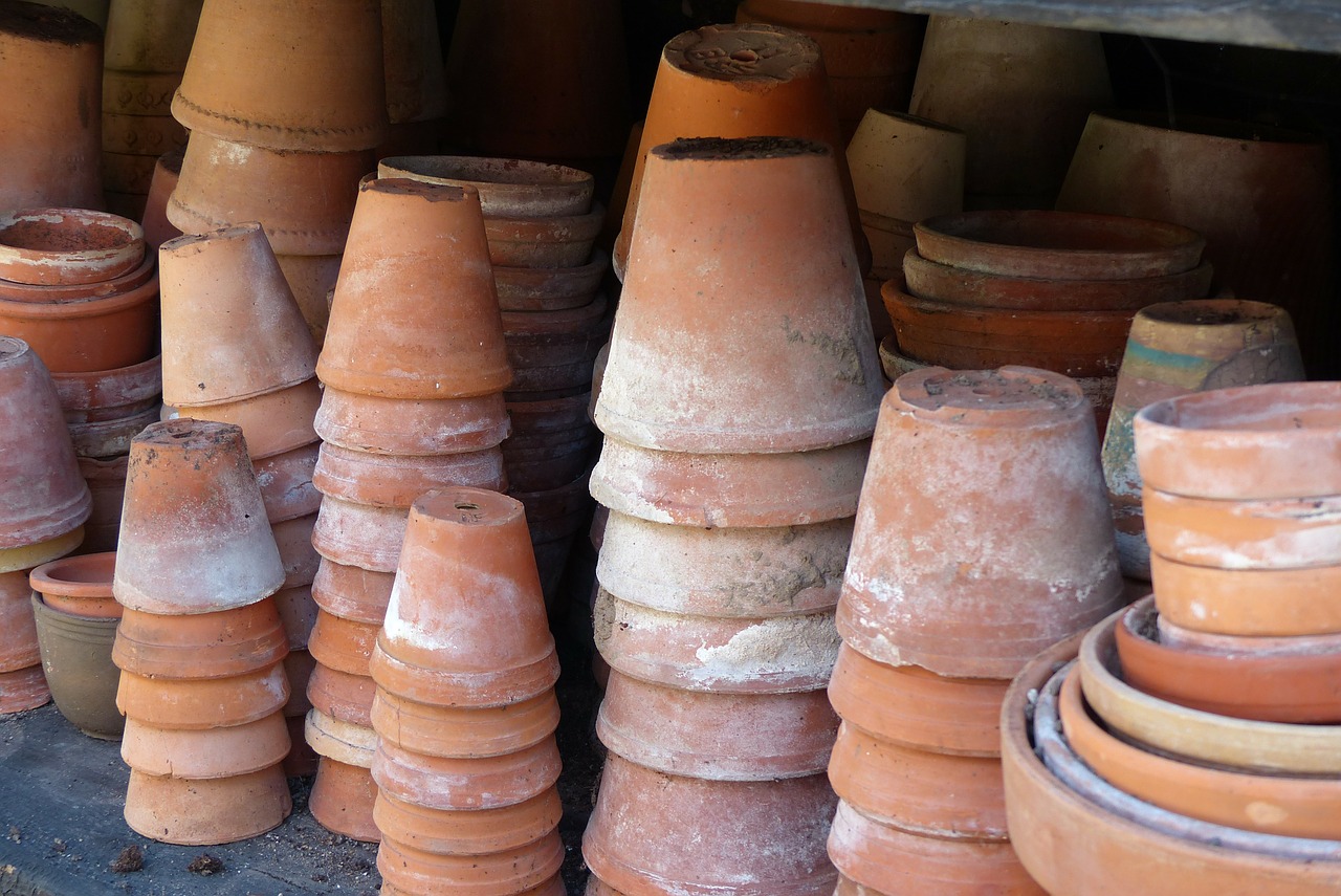 flower pots pots pottery free photo
