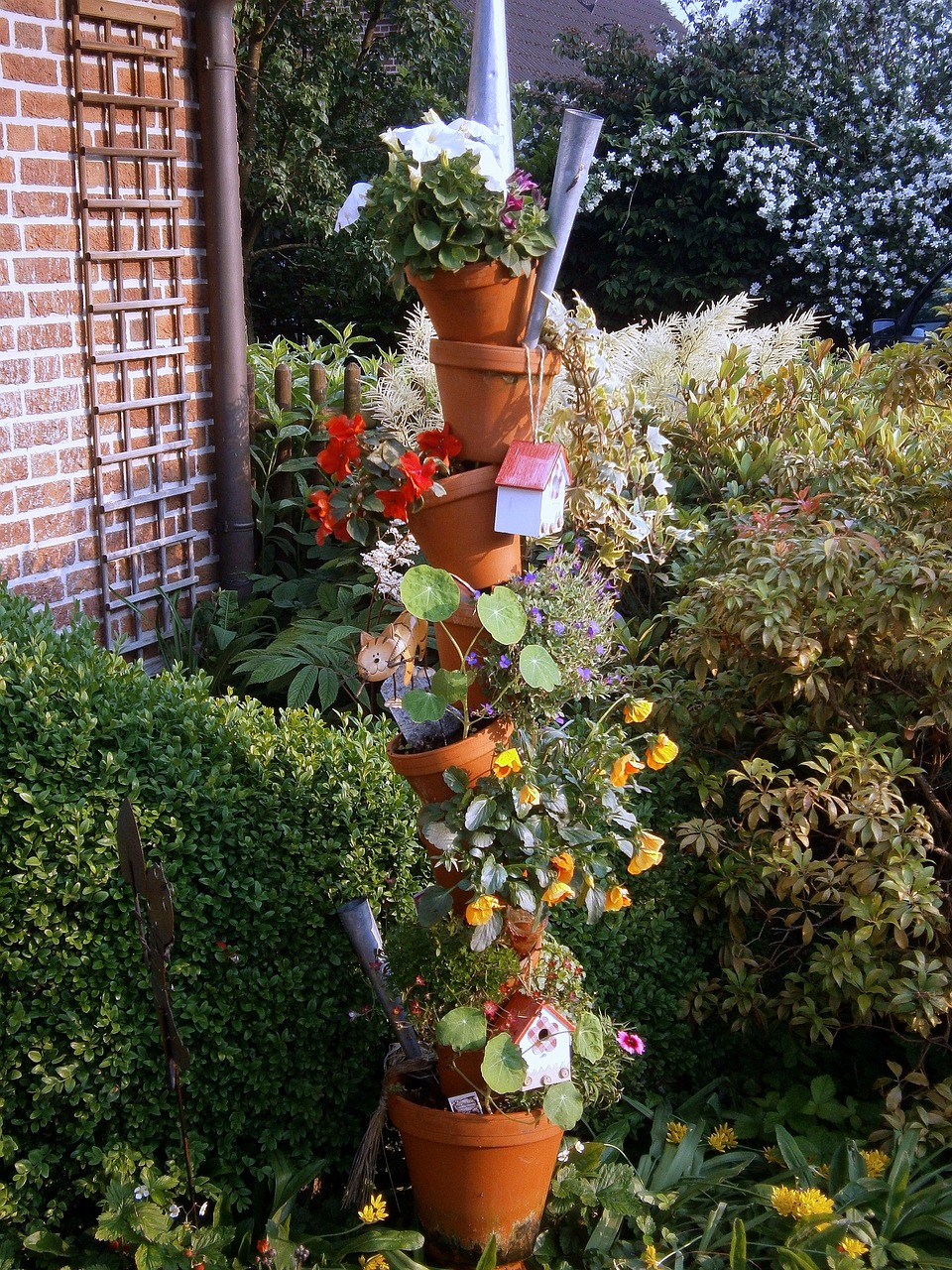 flower pots plant colorful free photo