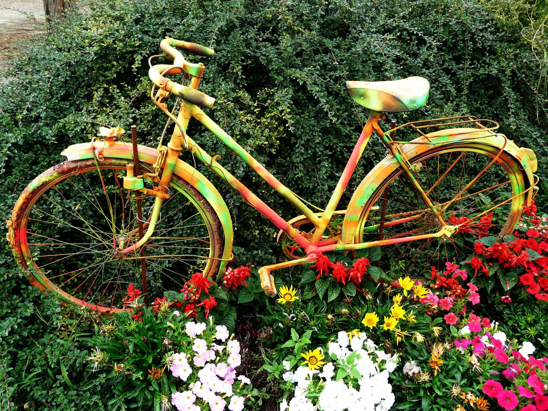 flower power bike