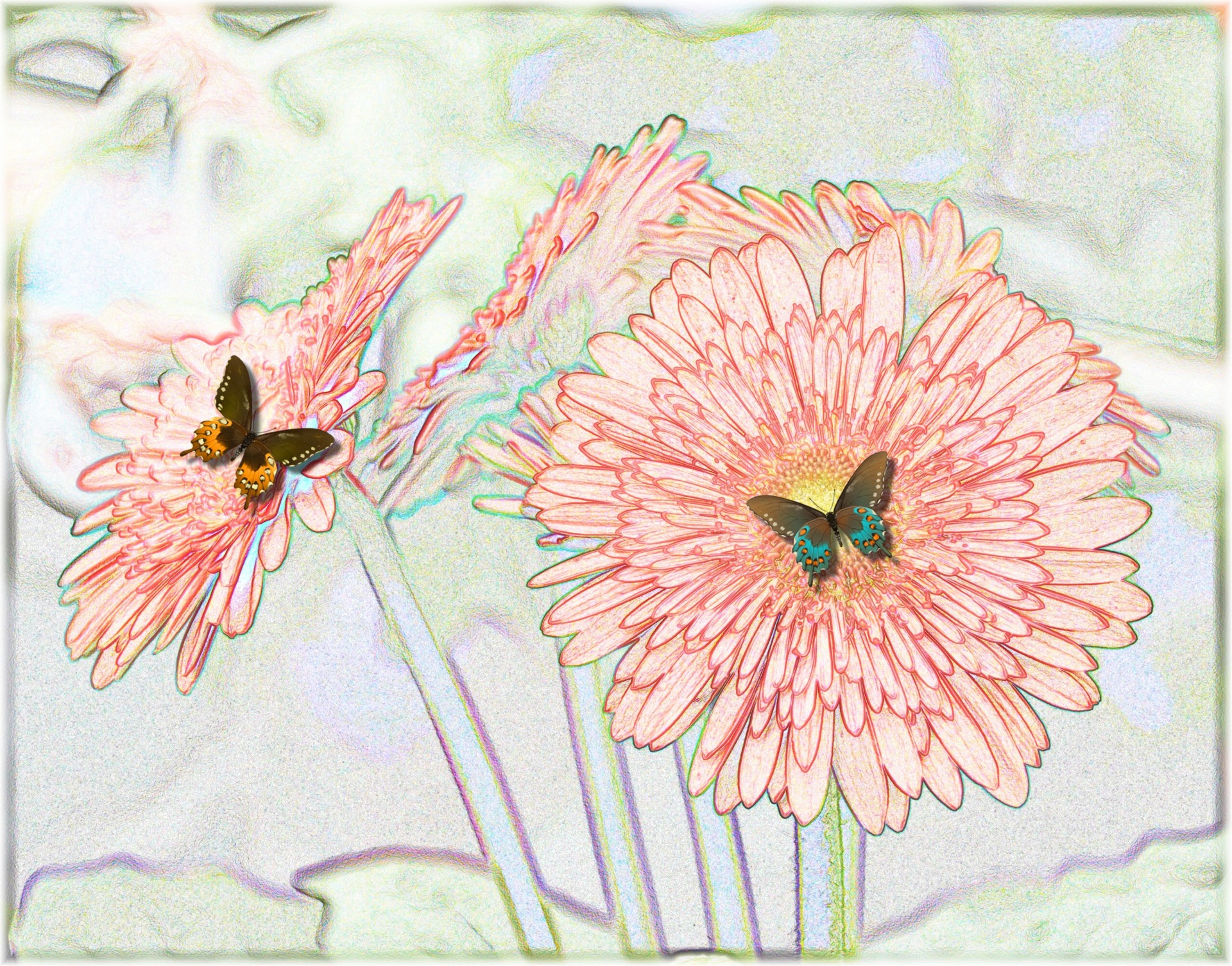 flower background decoration free photo