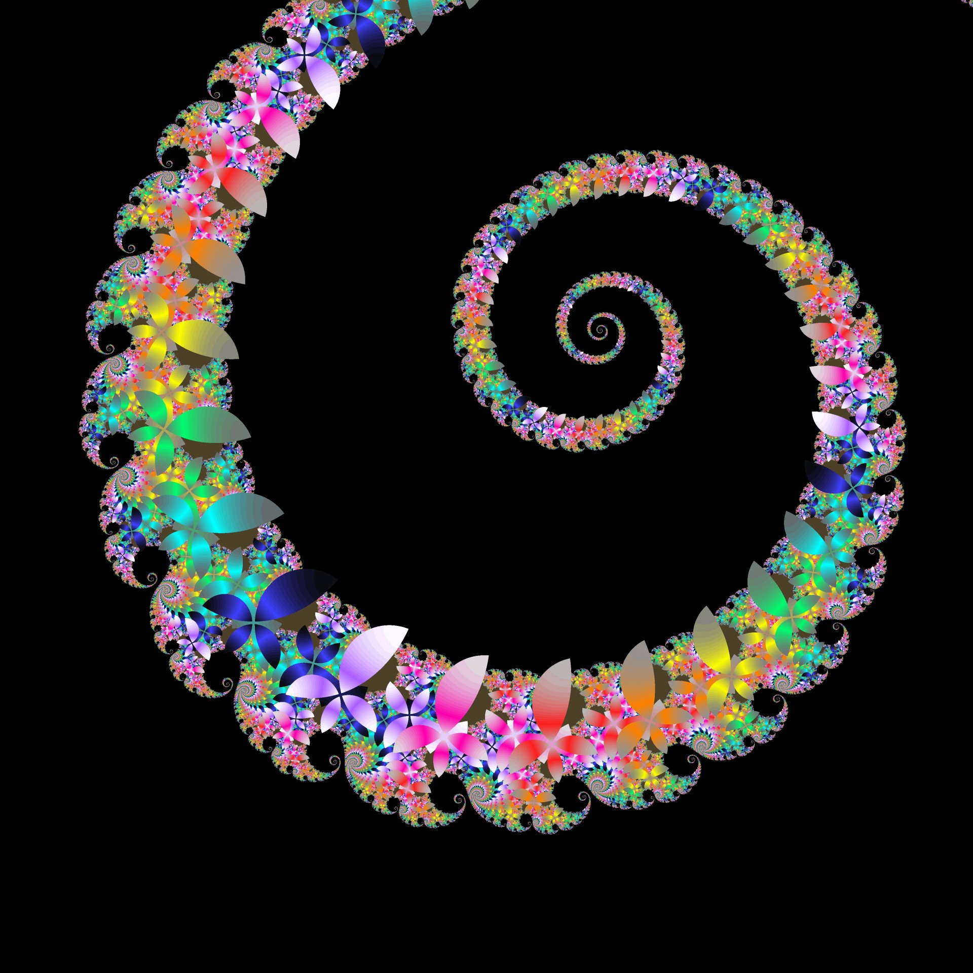 flower spiral fractal free photo