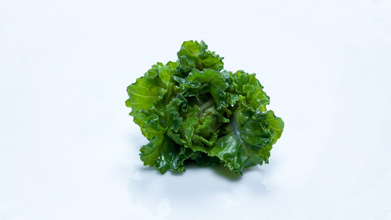 flower sprout vegetable brussel sprout free photo