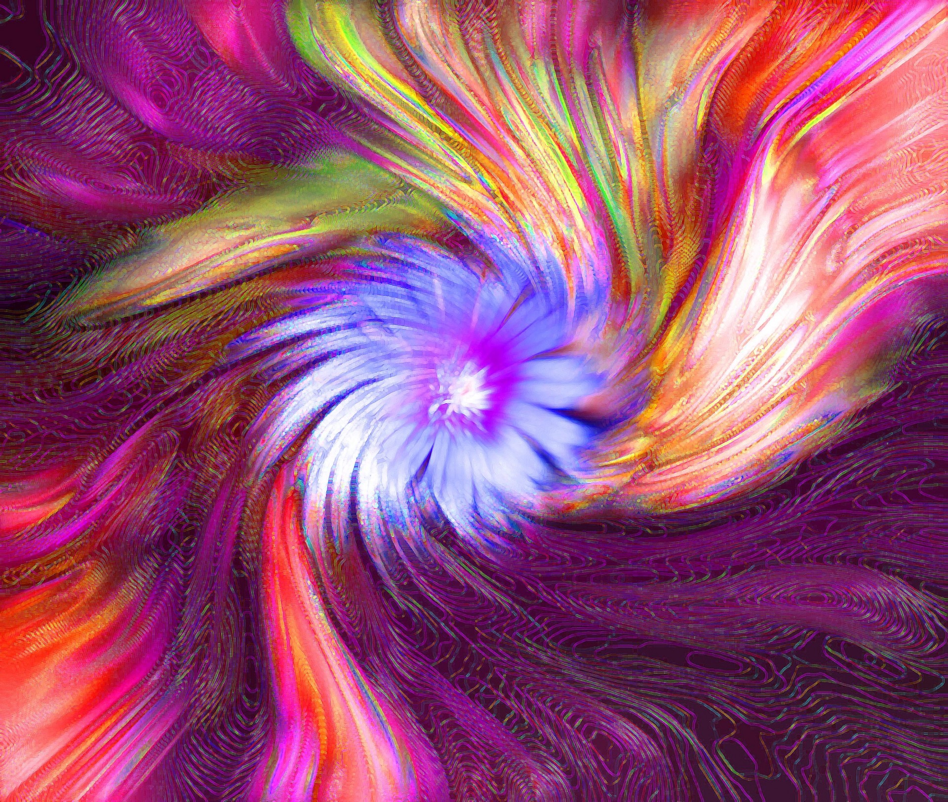 twirl colours pinks free photo