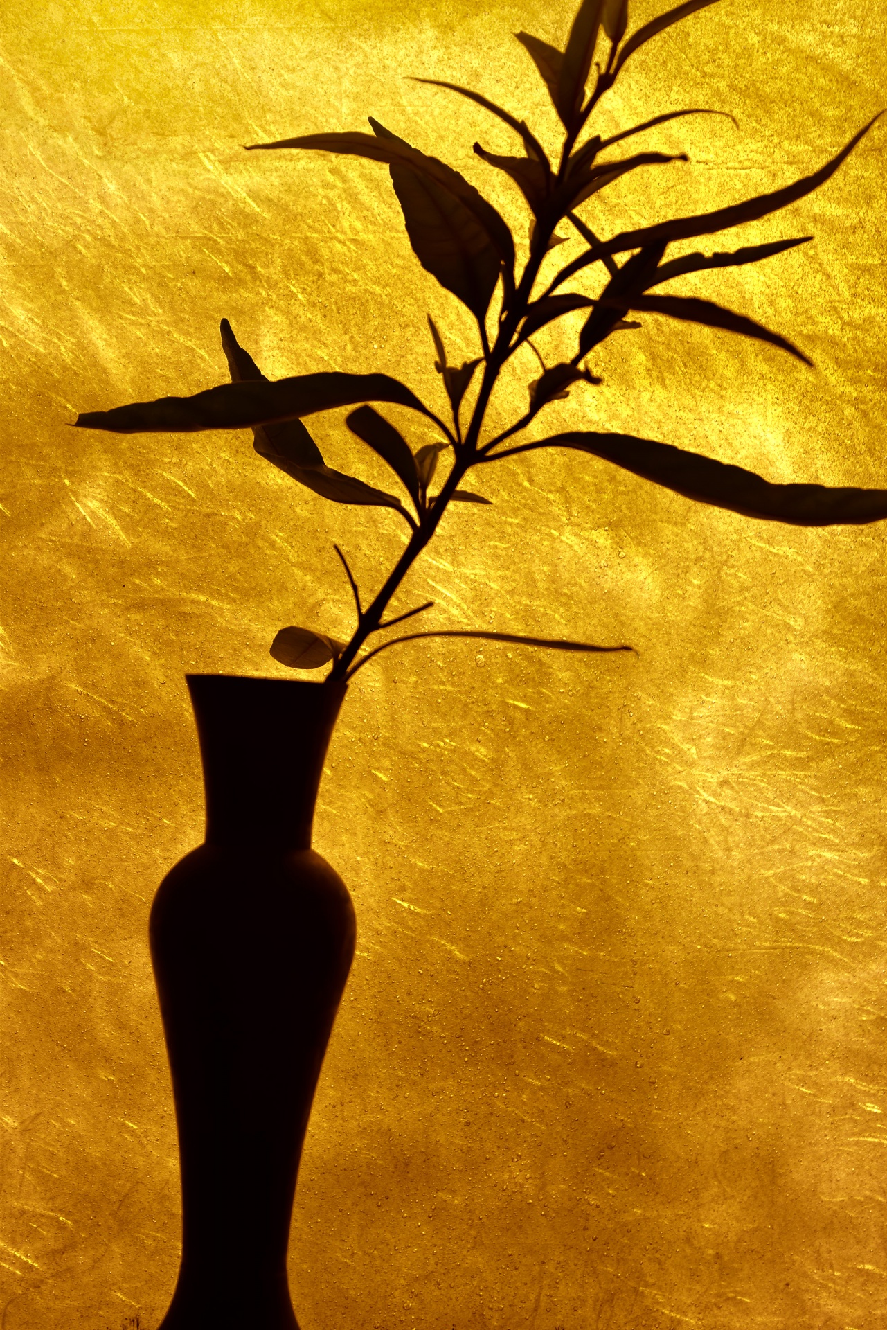 vase flower silhouette free photo
