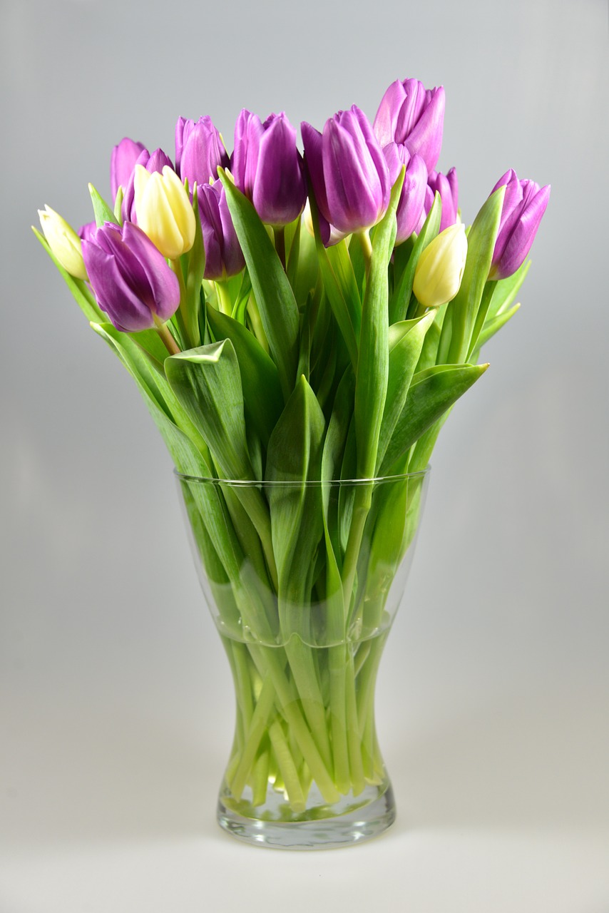 flower vase tulips bouquet free photo