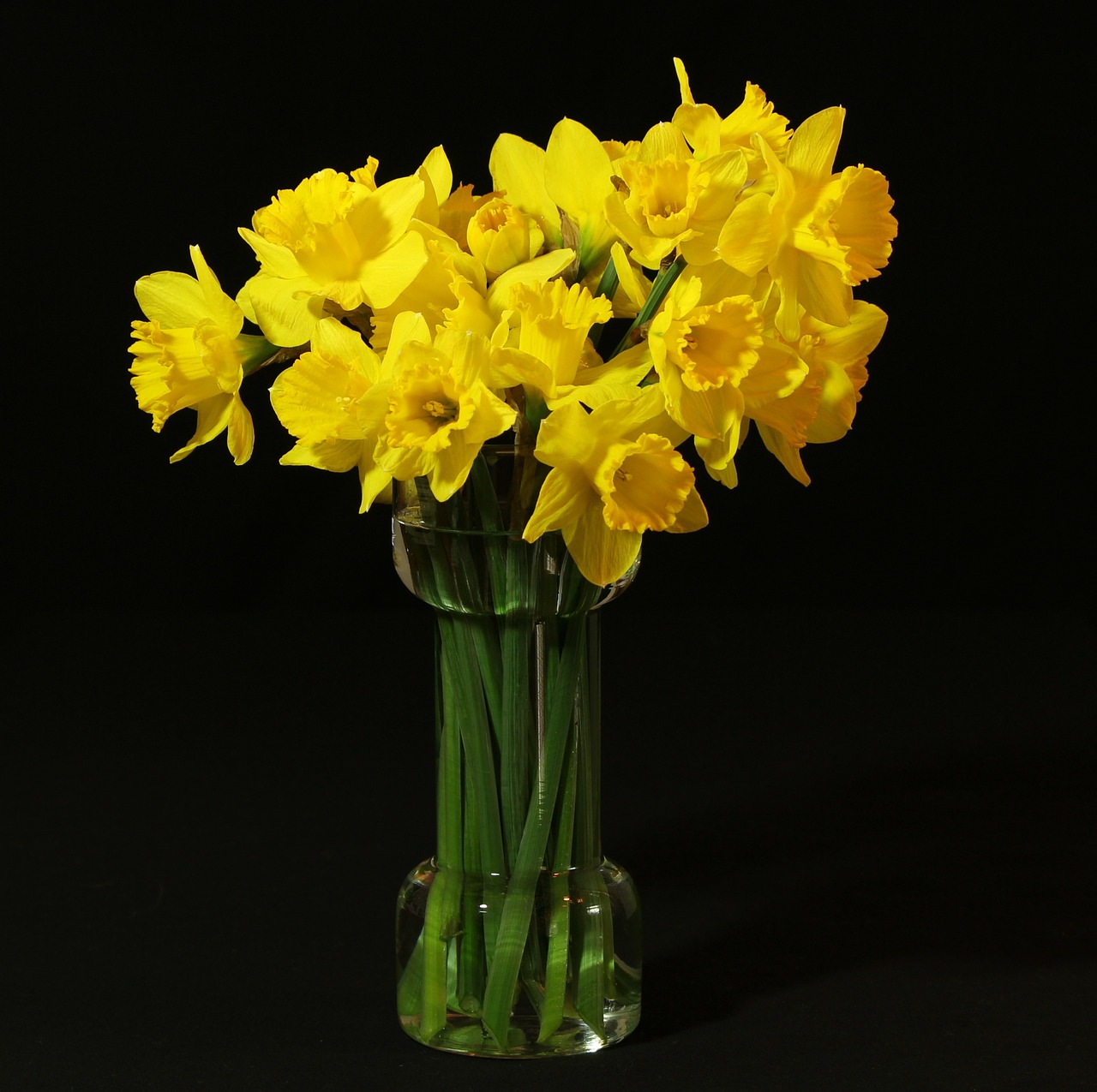 flower vase daffodils jonquil free photo
