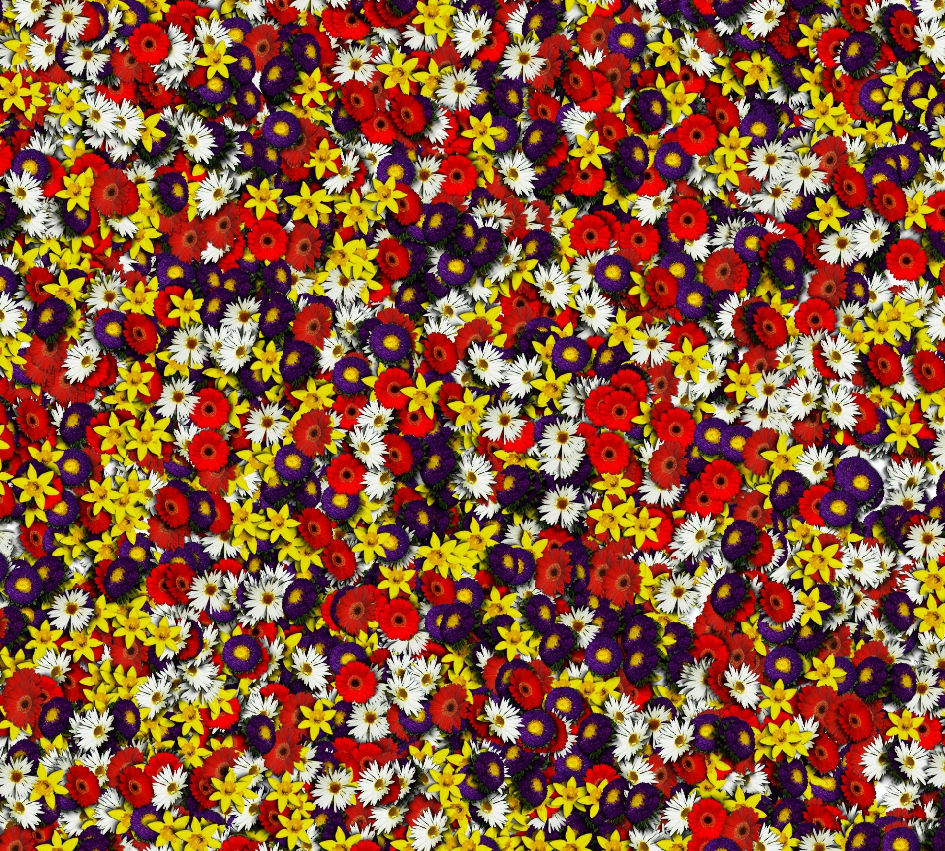 flower wallpaper clip-art free photo
