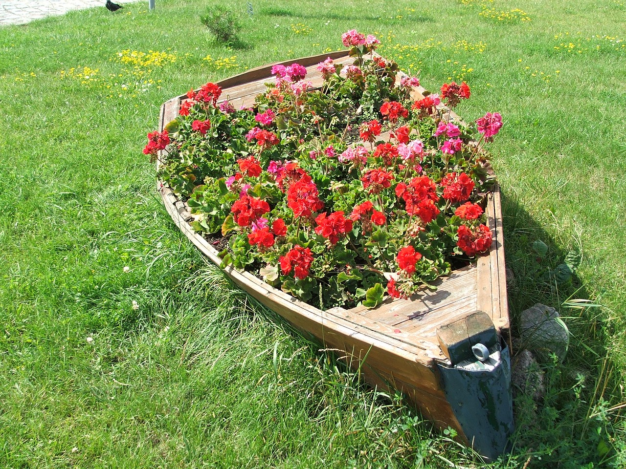flowerbed flowers old boat free photo
