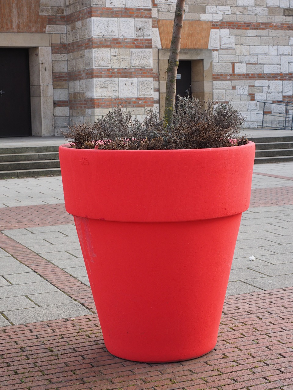 flowerpot plus size red free photo