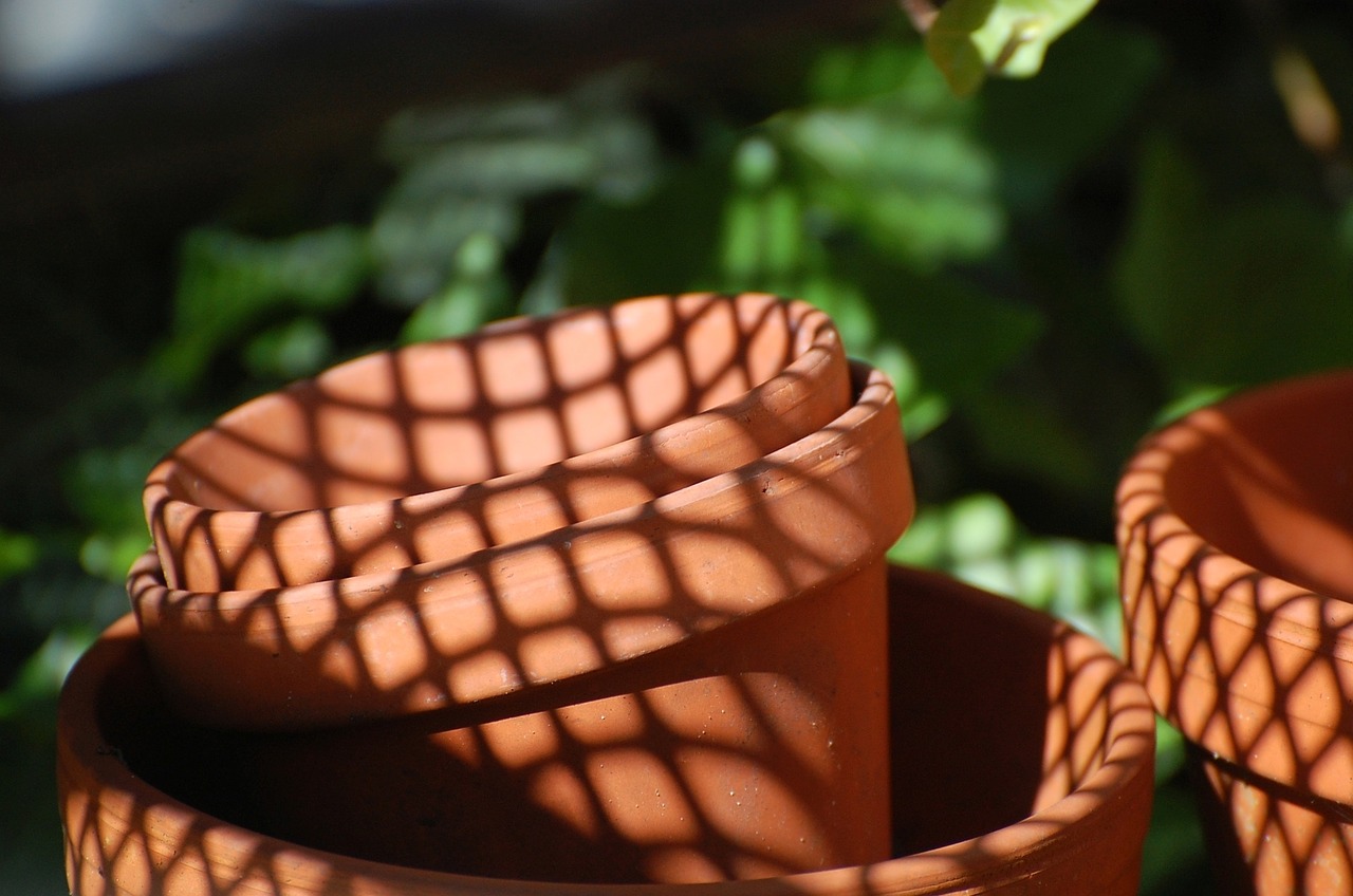 flowerpot shadow pattern free photo