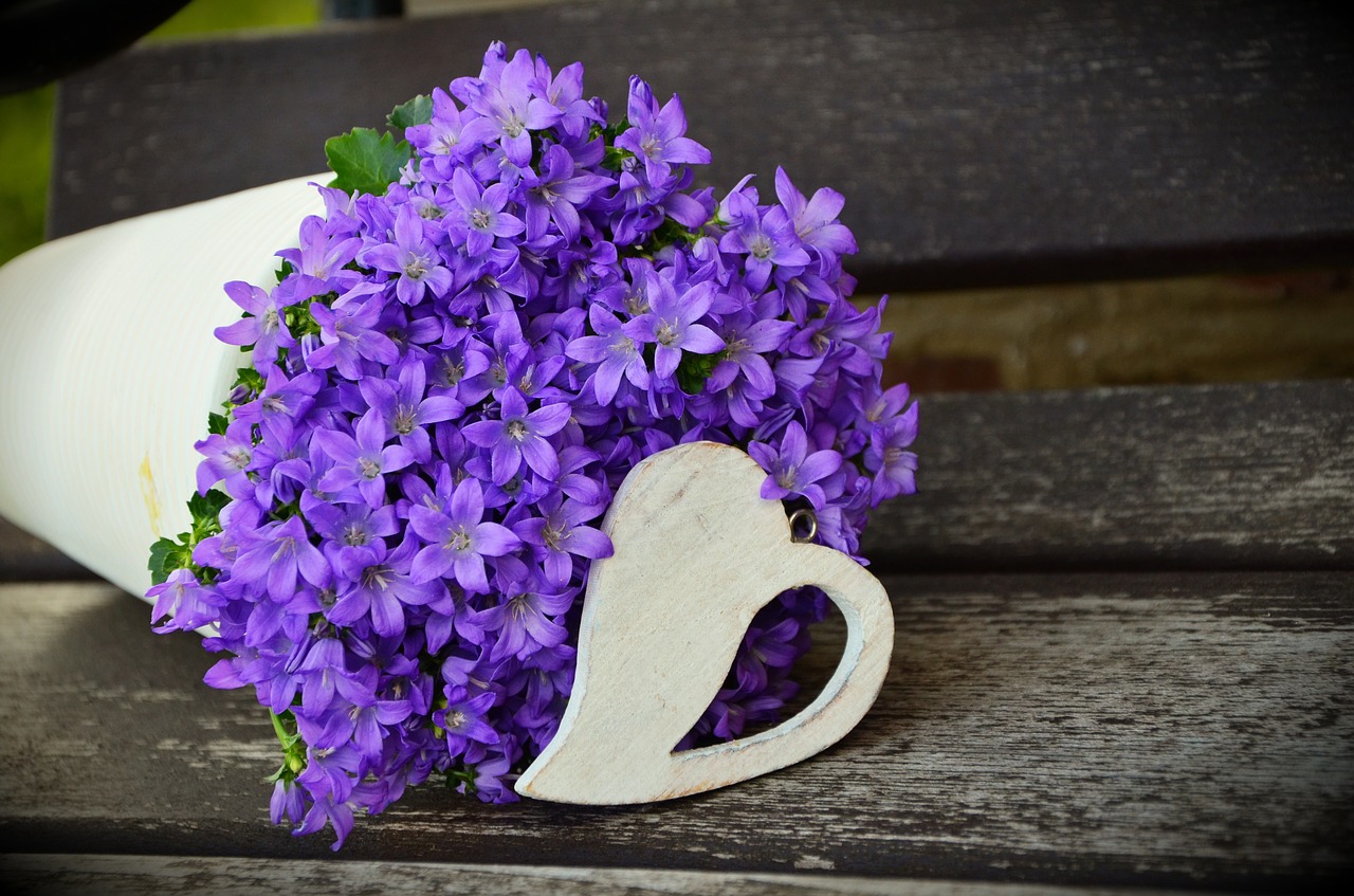 flowerpot flower purple mother's day free photo