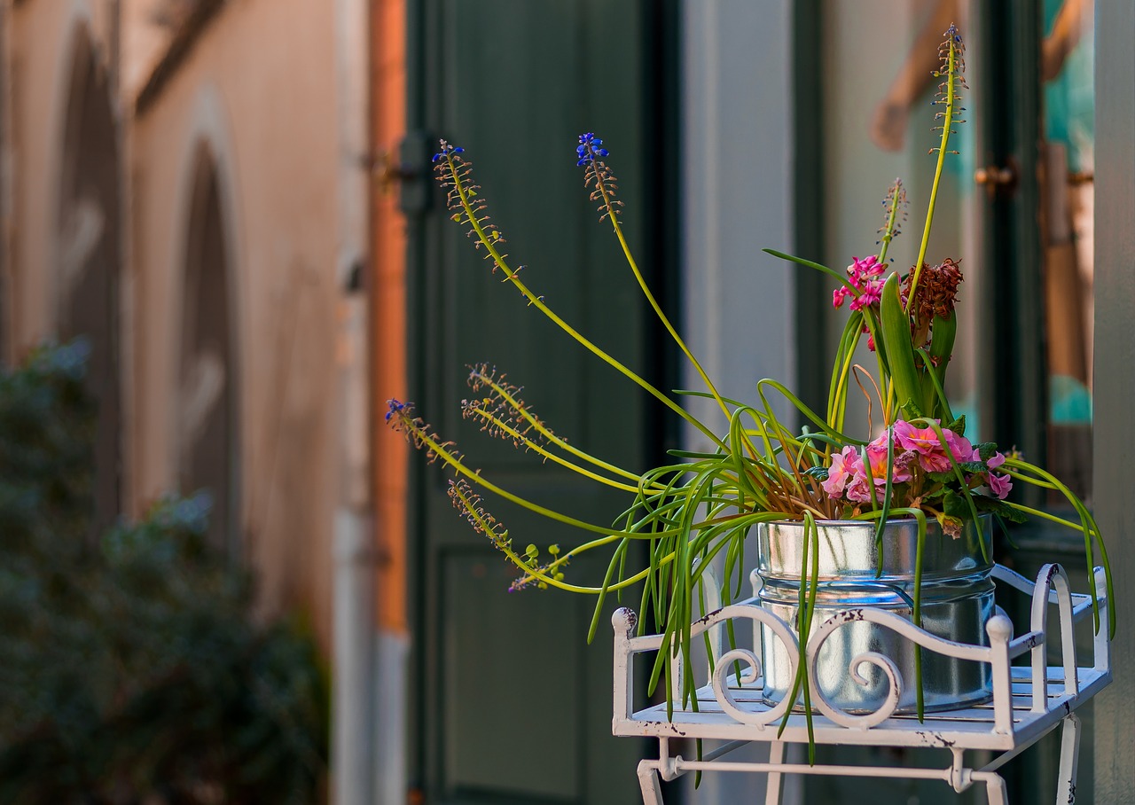 flowerpot flowers potted plant free photo