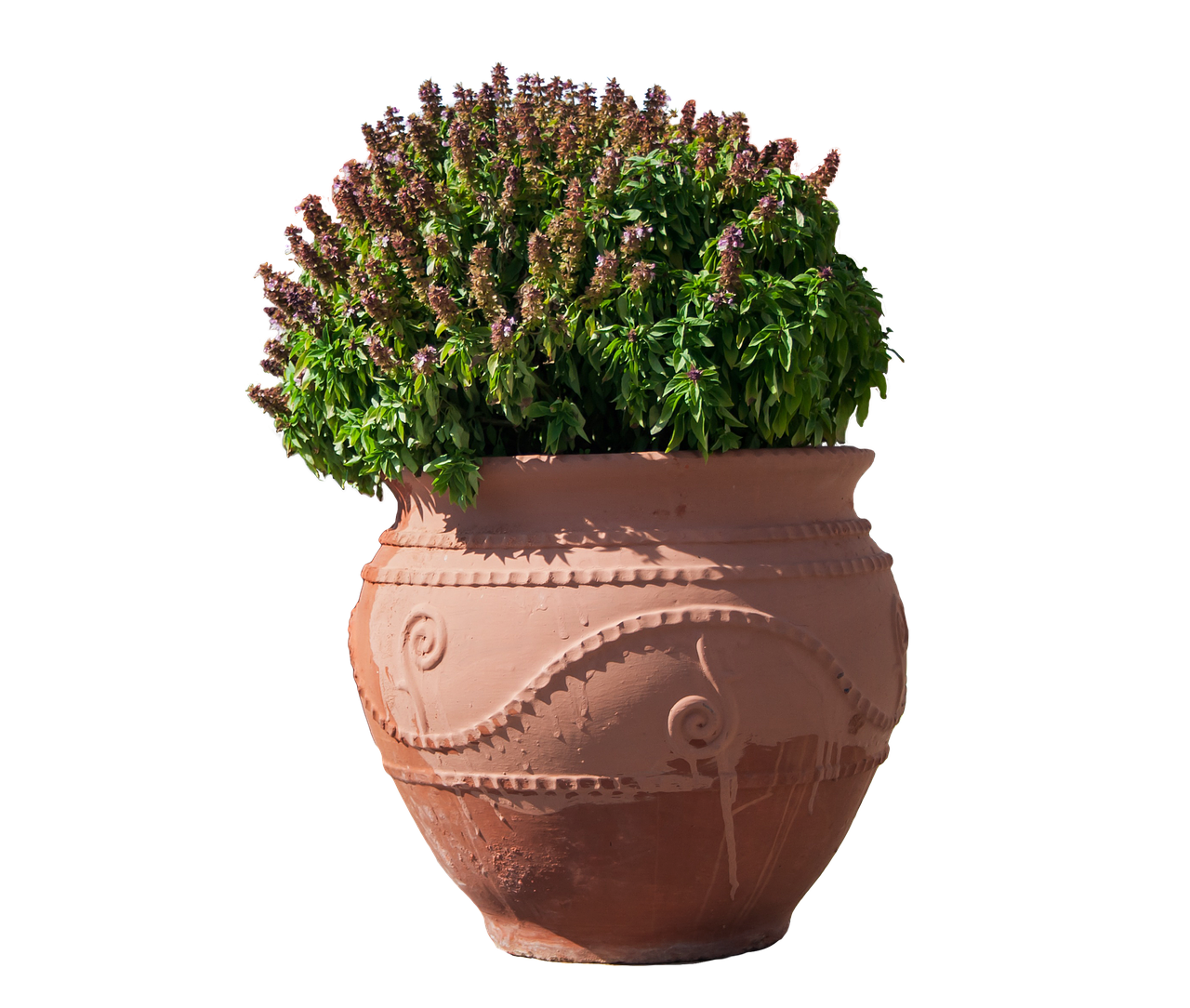 flowerpot  sound  vessel free photo