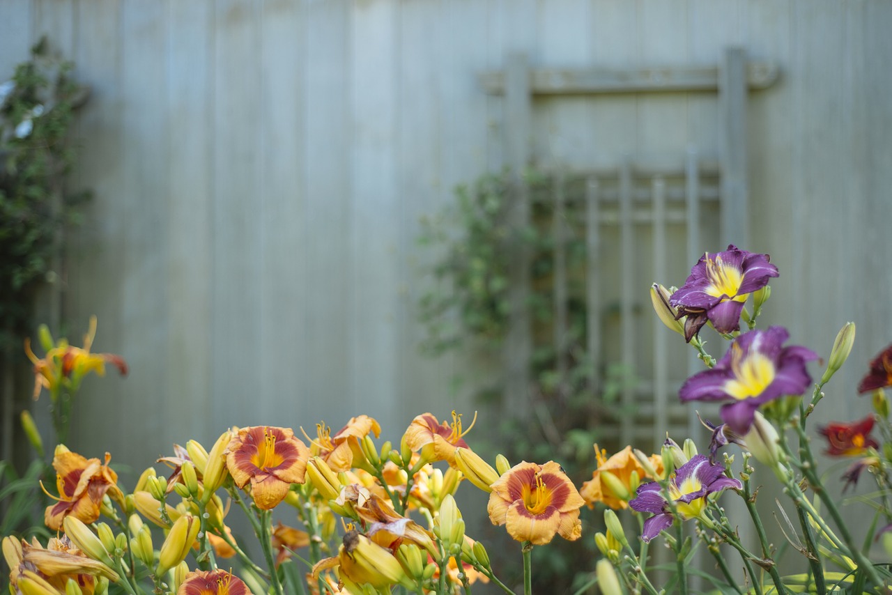 flowers barn garden free photo