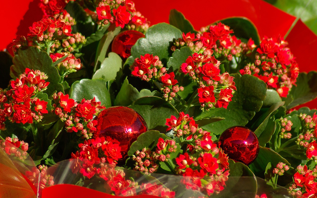 flowers christmas bouquet free photo