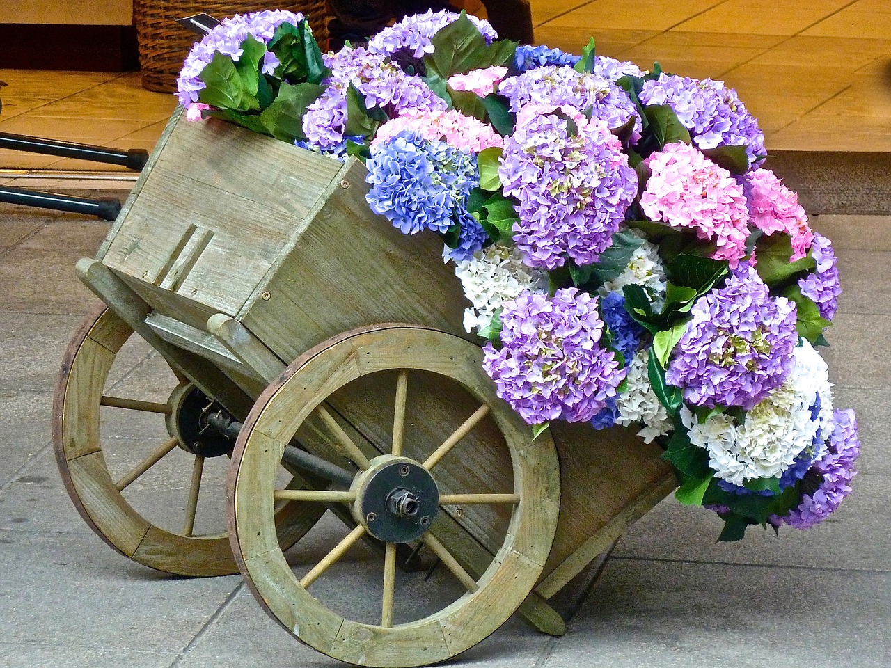 flowers cart blossoms free photo