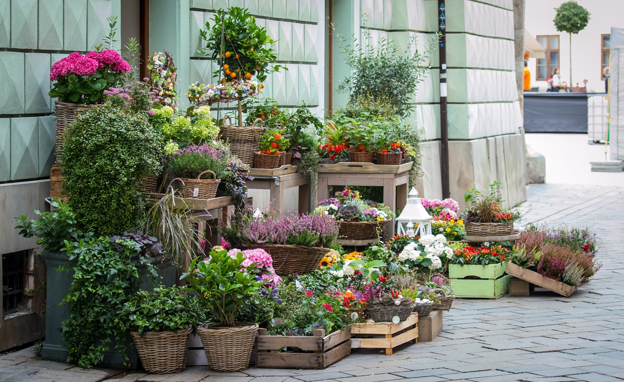 flowers květinařství sale free photo