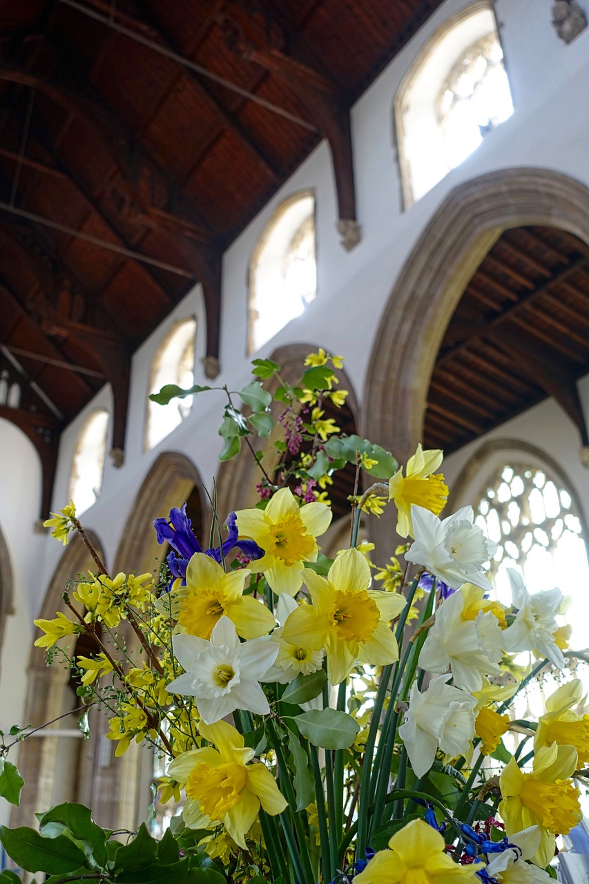 flowers cathedral yellow free photo