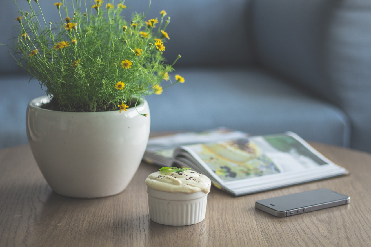 flowers pot flowerpot free photo