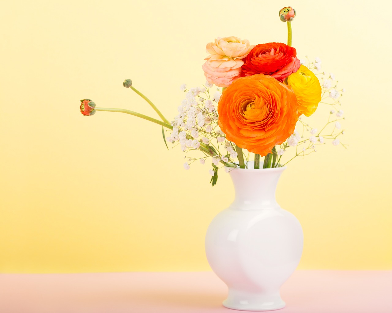 flowers flower vase ranunculus free photo