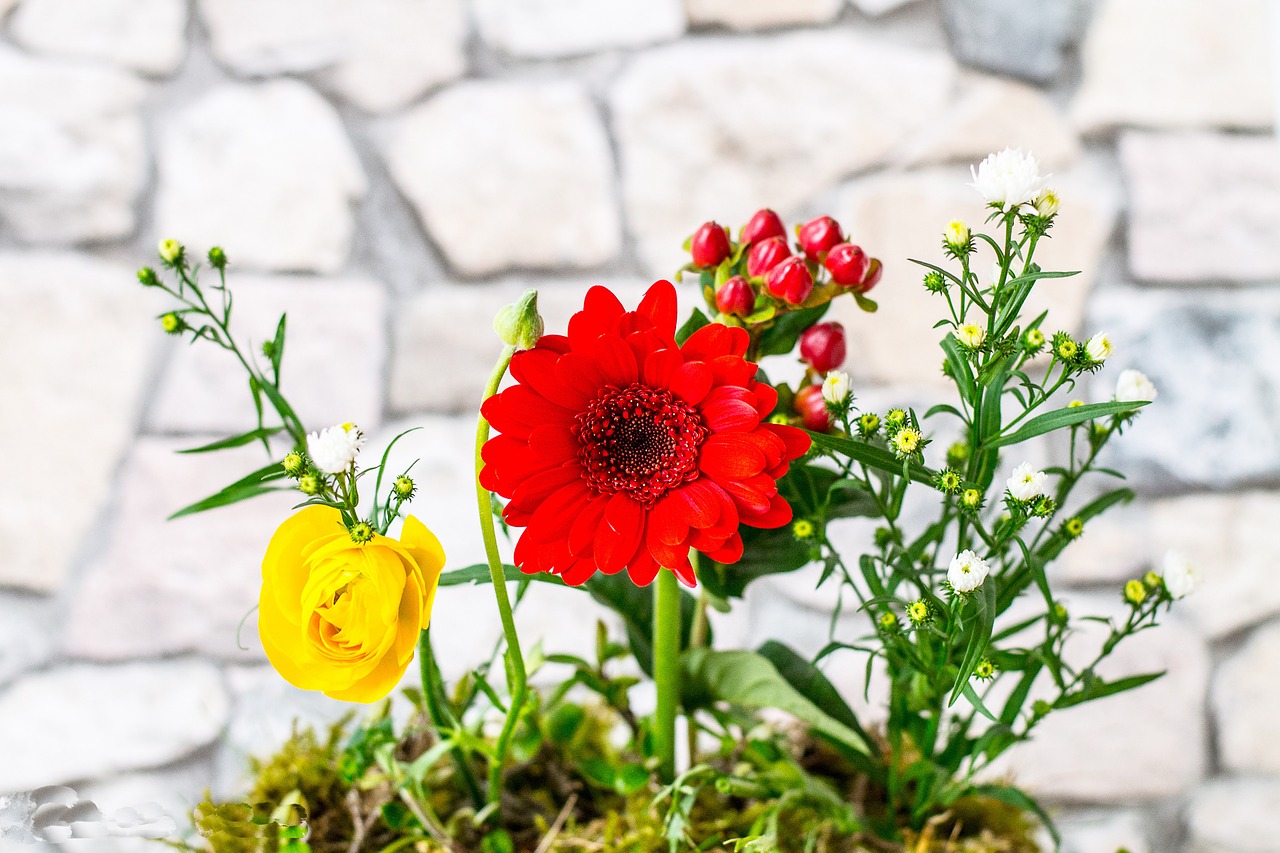 flowers foreground close free photo