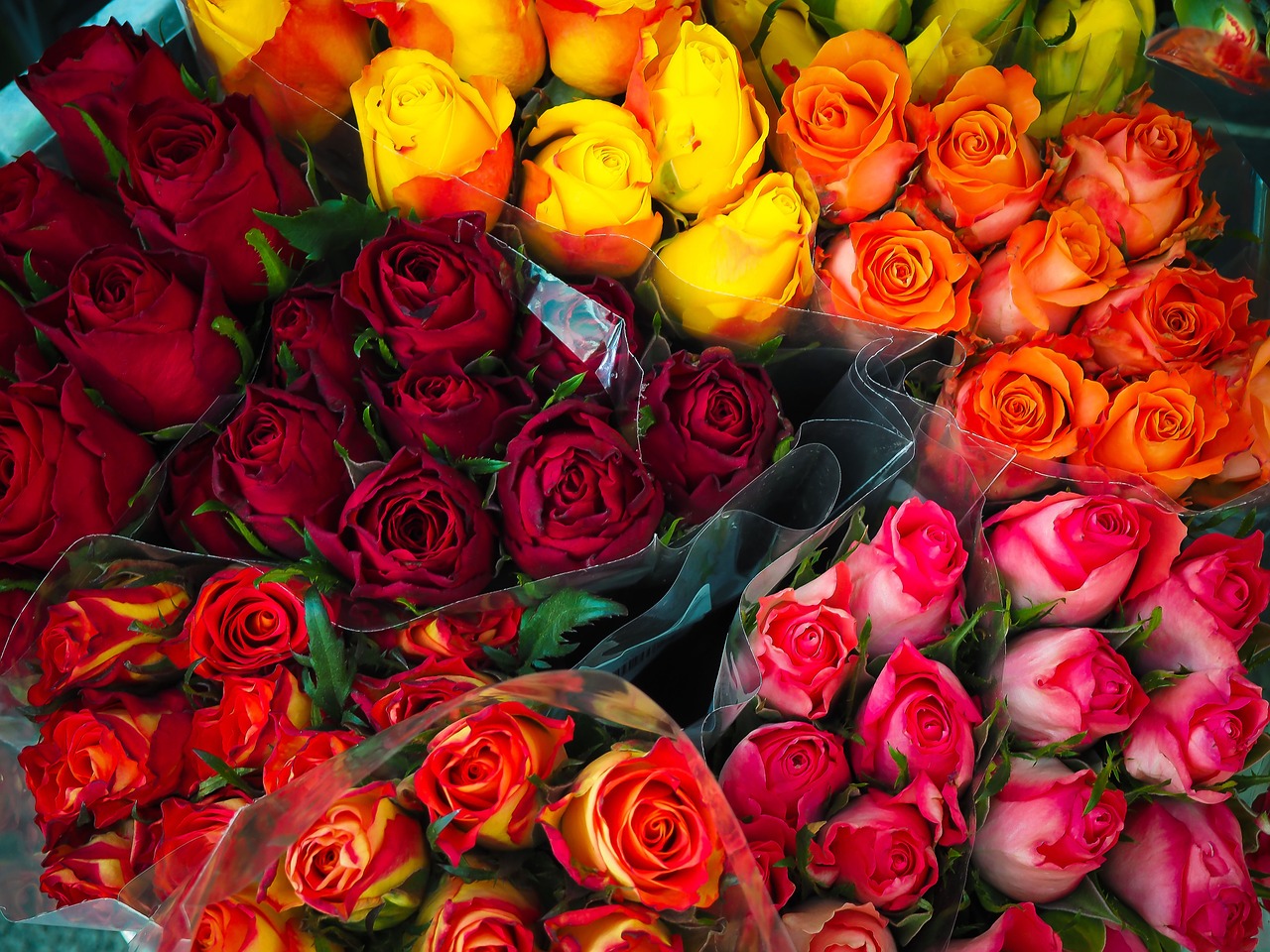 flowers bouquet red free photo