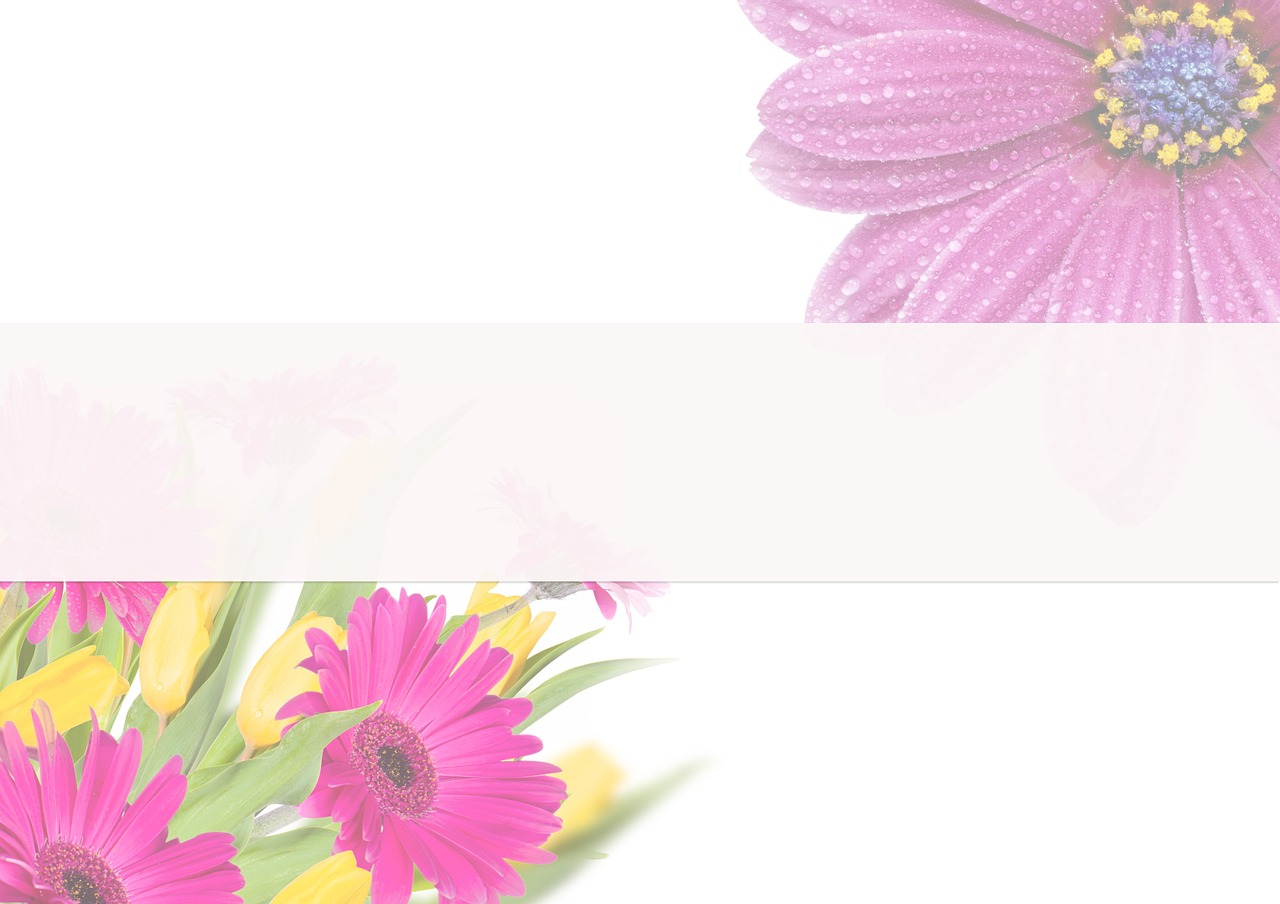 flowers pastel blank free photo