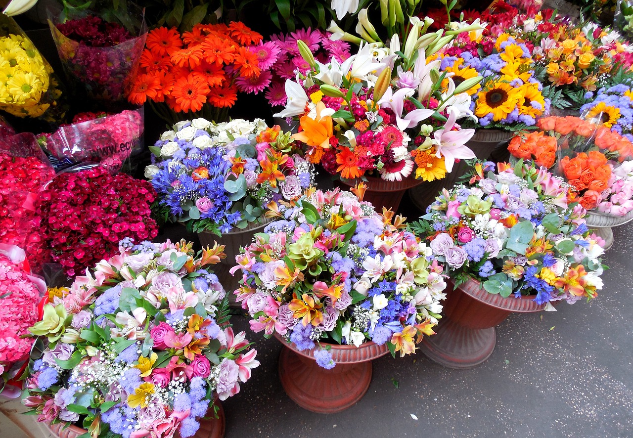 flowers market flowers was free photo