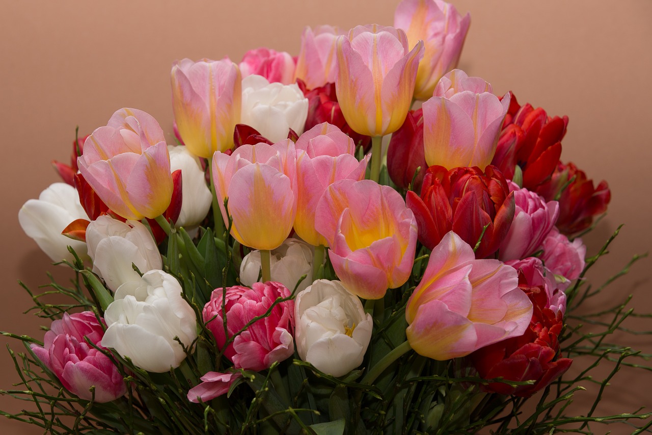 flowers tulips bouquet free photo