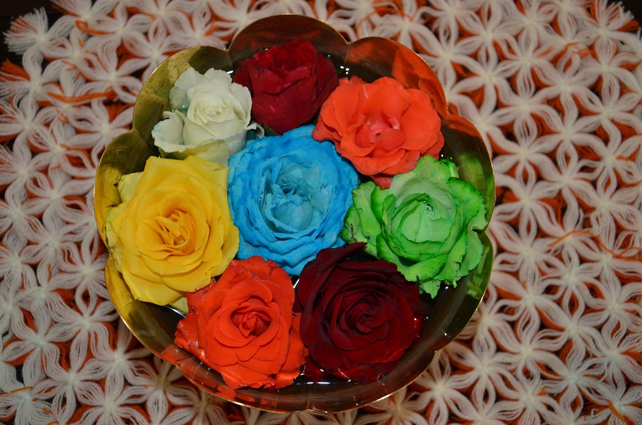 flowers colorful roses natural free photo