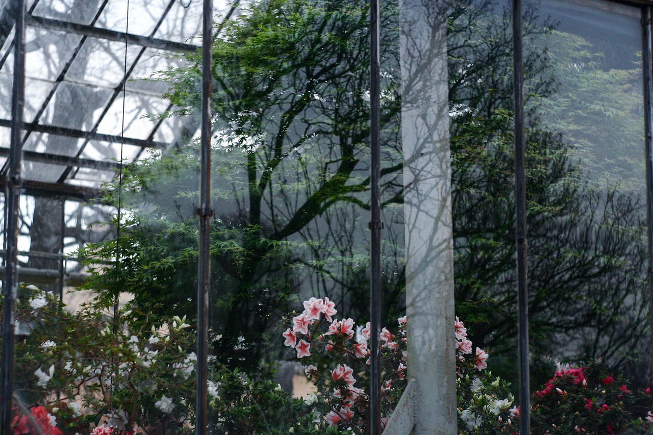 window reflection botanical garden free photo