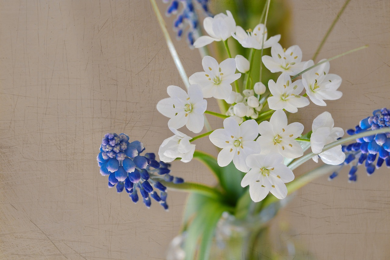 flowers bouquet spring free photo