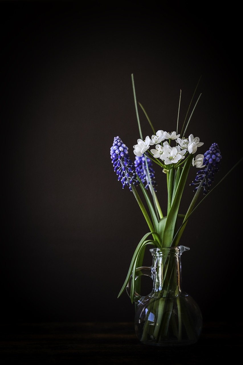 flowers flower vase vase free photo