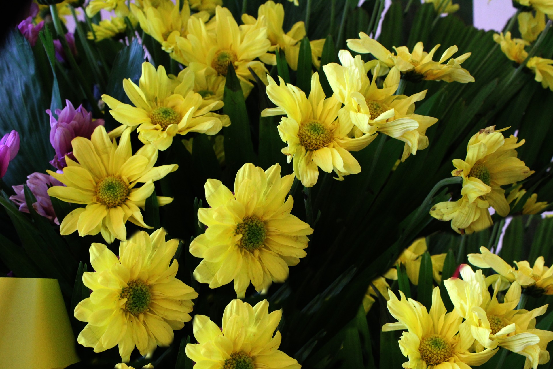 yellow flowers yellow petals flower arrangement free photo