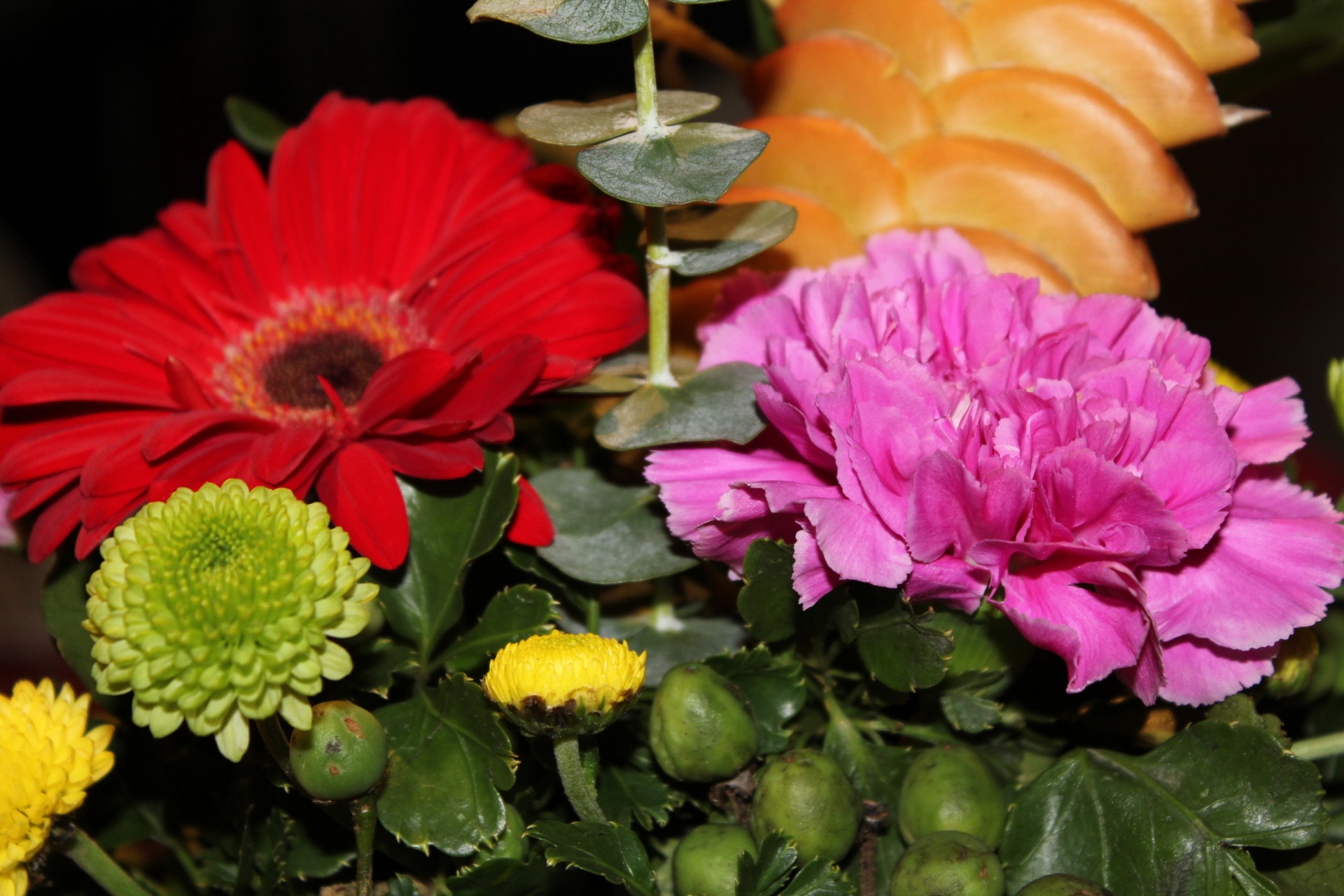 flowers table flowers colorful flowers free photo
