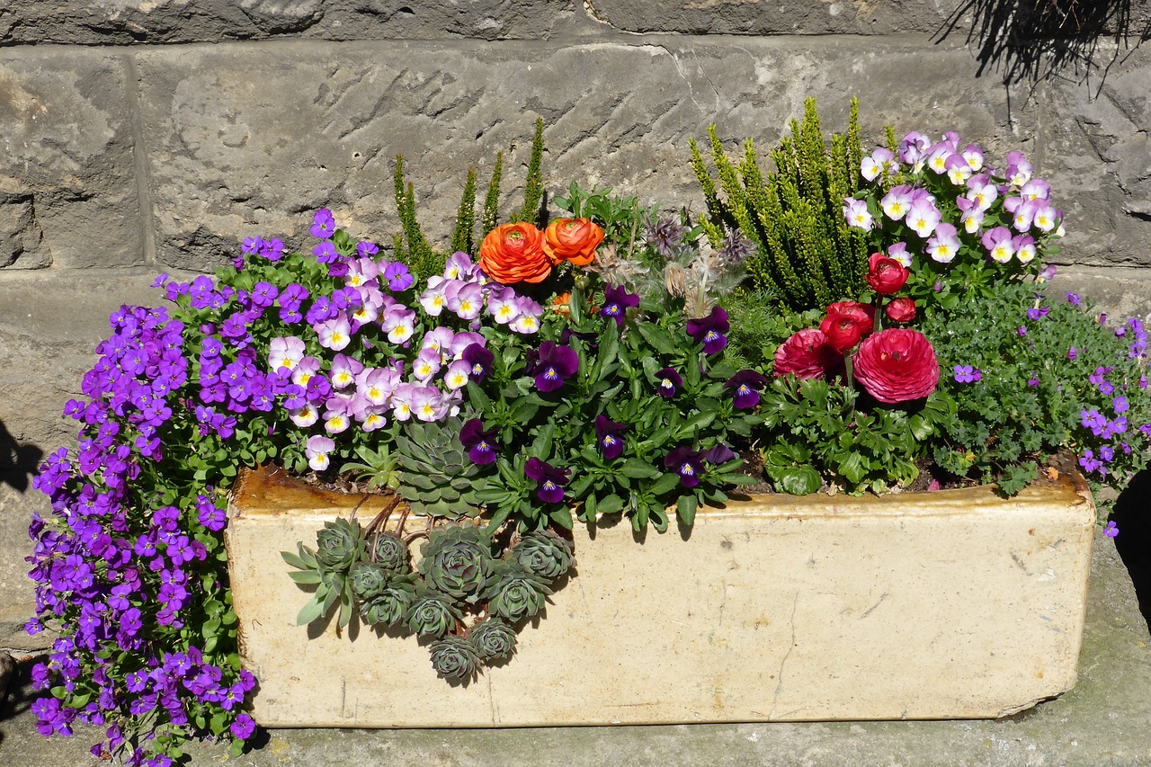 flowers planters flower box free photo