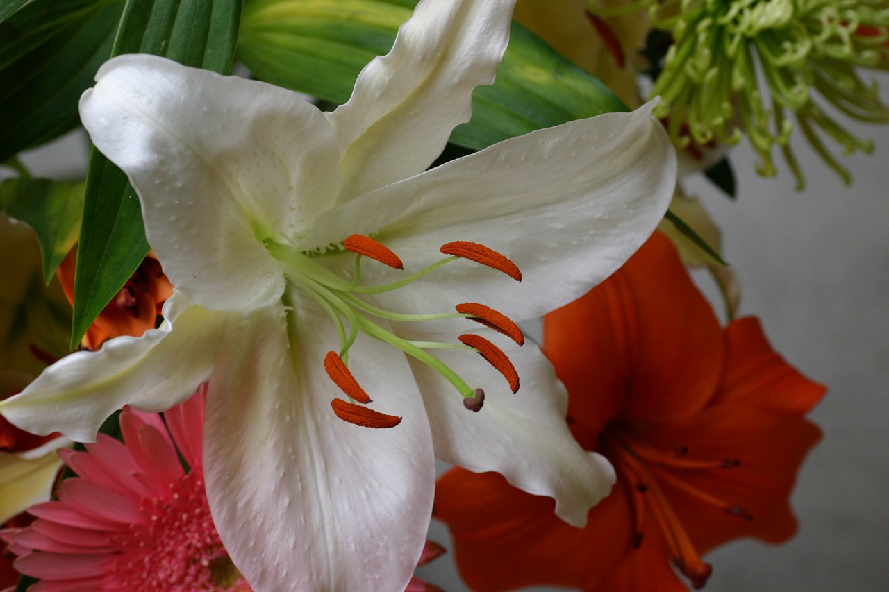 flowers bouquet close up free photo