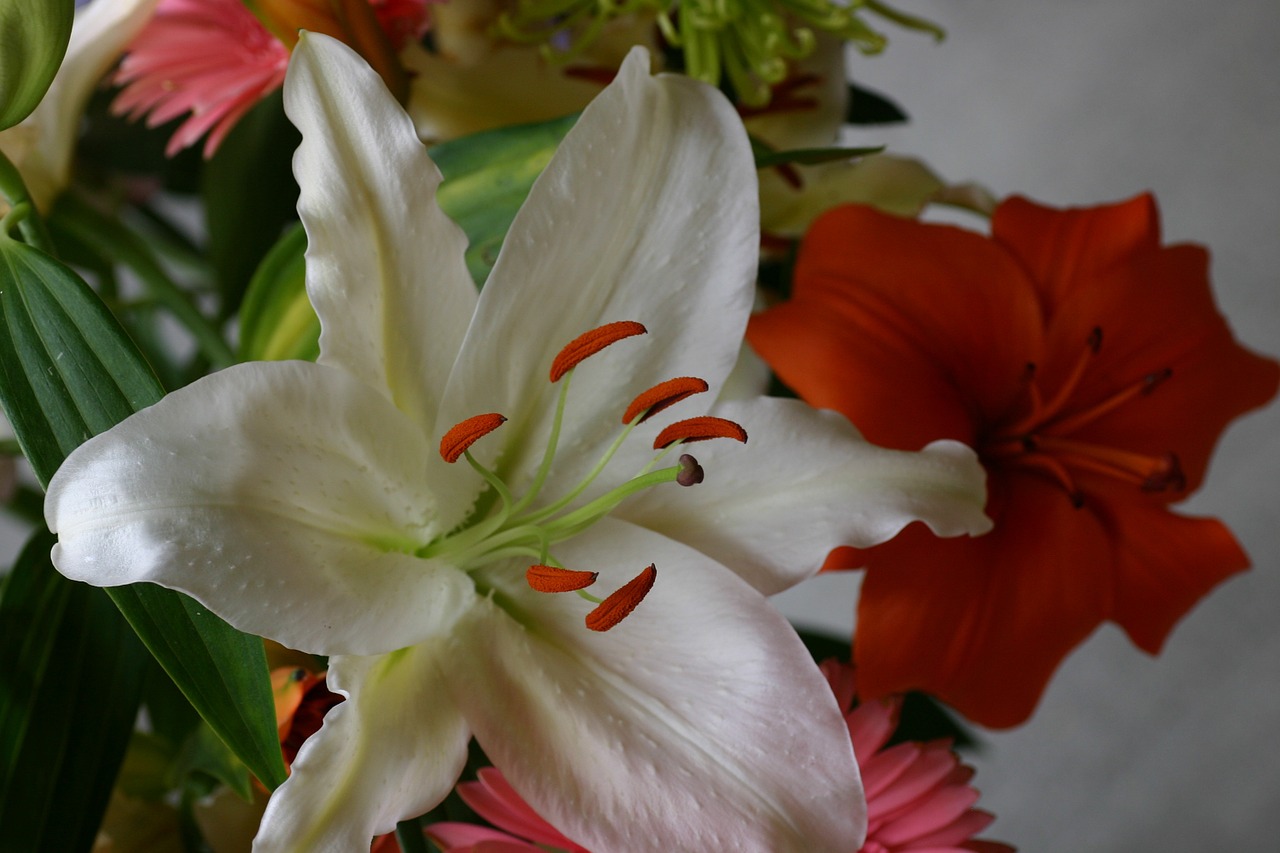 flowers bouquet close up free photo