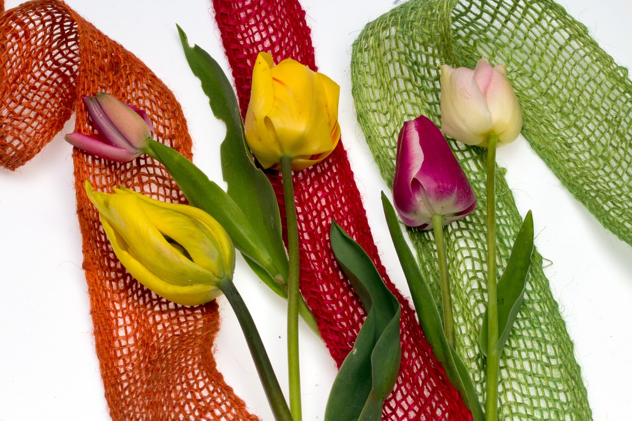 flowers tulips composition free photo