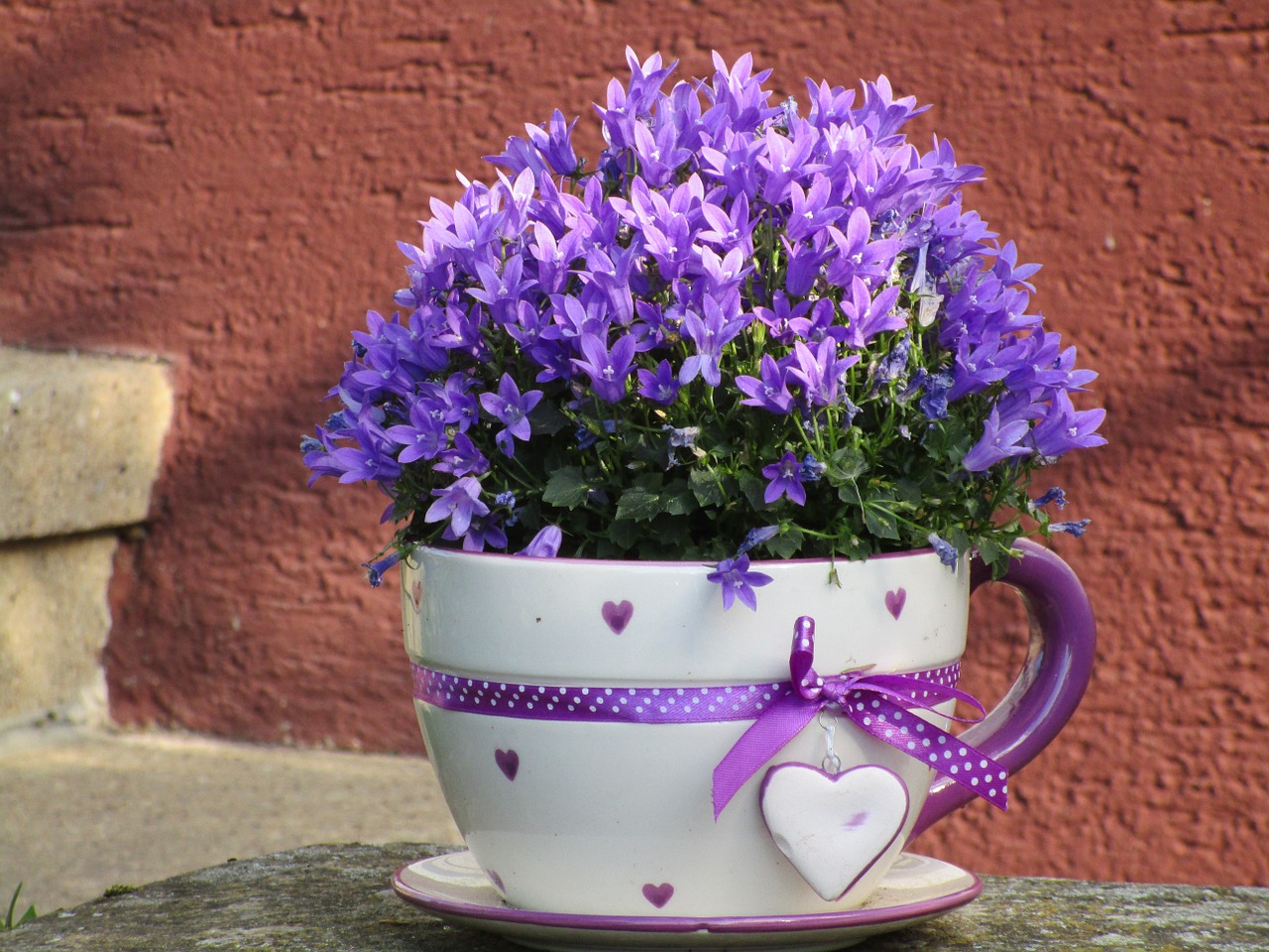 flowerpot cup flowers free photo